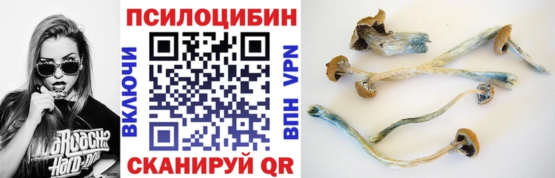 Псилоцибиновые грибы GOLDEN TEACHER  гидра как войти  Электрогорск 